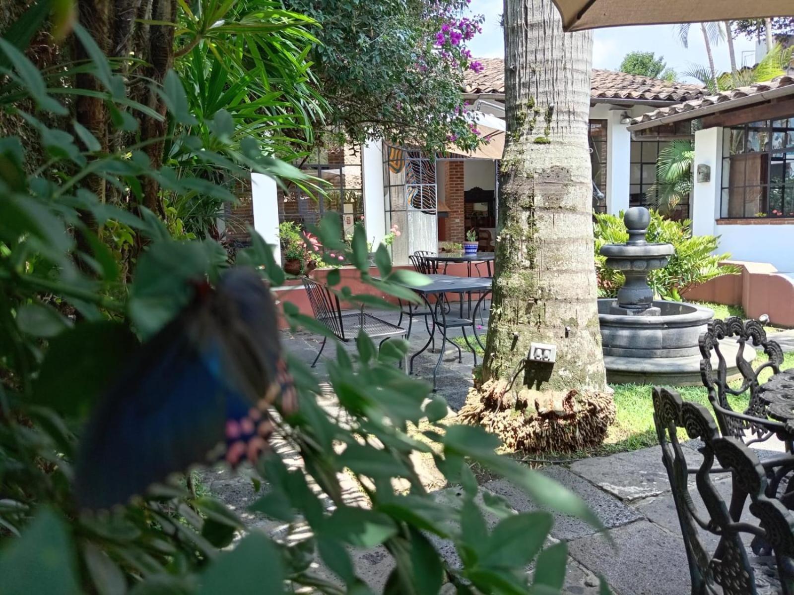 Hotel Boutique Casabella Coatepec  Exterior foto